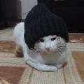 MaviDuman
