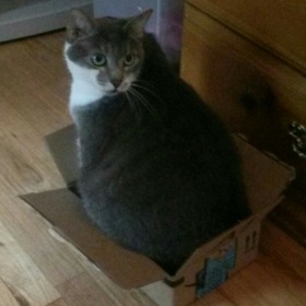 Zerenei_Kryathos