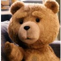 secret-ted
