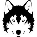 Dyson_Parkes