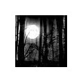 mirrors-sideways