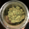 StonedAdviceGiver