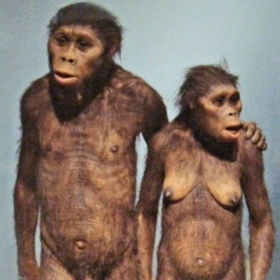 proudape