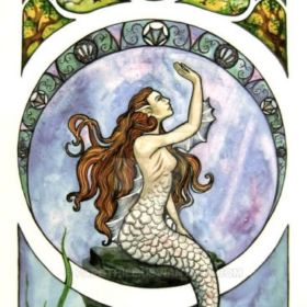 arachne77