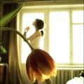 AnnaDavis