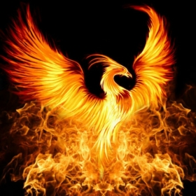 Dire-Phoenix
