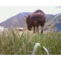 naturefreak0