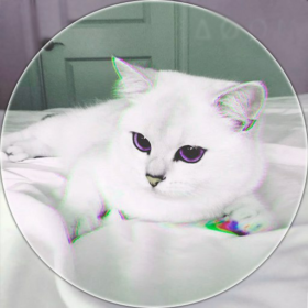 Steven_Mang