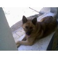 mariia-12
