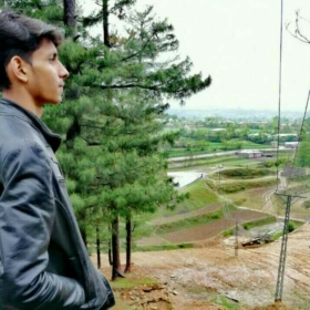 Ghazanfar88