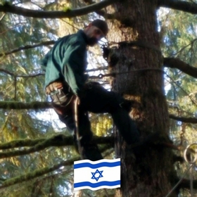 chacindadream