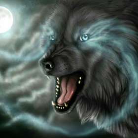 Wolf123abc