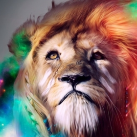 lionscave