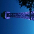 rosecomet
