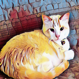 MimiKitty