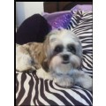 taylor_2264
