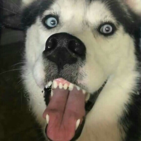 itellyouwhat