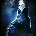 Wolfantastic