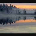 MorningMist