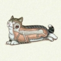 fatcat4life