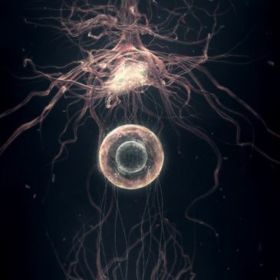 thebravery12