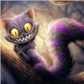 kitty_purple_guru