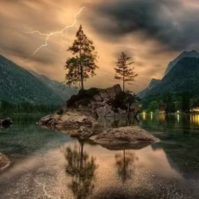 alektamovvik