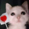 katlvr