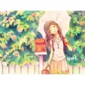 mydolphin96