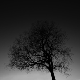 Whatsthetruthworth69