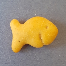 GOLDFISH_smile