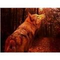 wolflover17