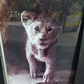 meowmeow05
