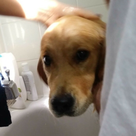 idontlikebaths