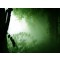 QUEENgreen04