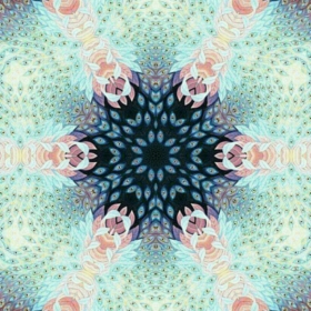 indigo_Ecko
