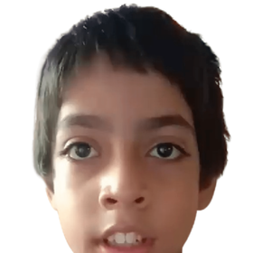 krishna2020