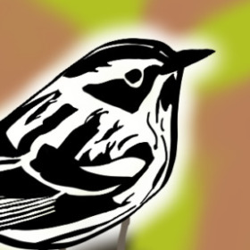 BirdsLover
