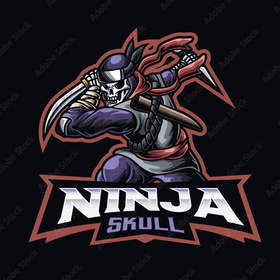 NinjaDragon47