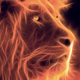 NH_Lion12