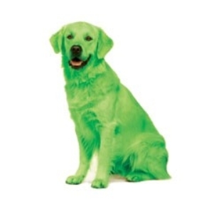 Greendog