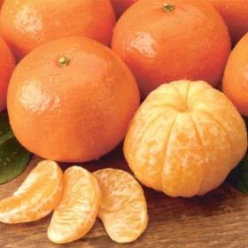 tangerinefan1050
