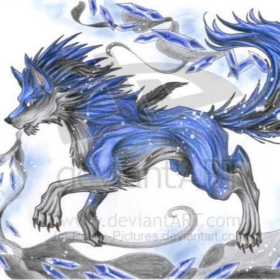 WolfZach