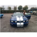 Car-enthusiastxox