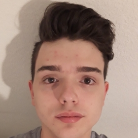 NoahsTheory