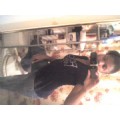 DivaGirly19