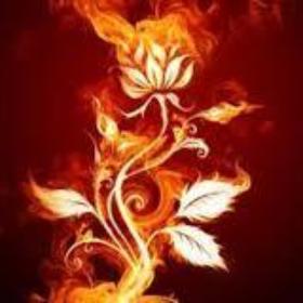 burnseta