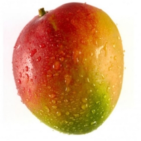 THEMelon