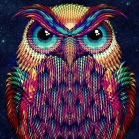 MrOwl