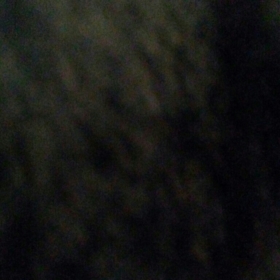 Bribri00
